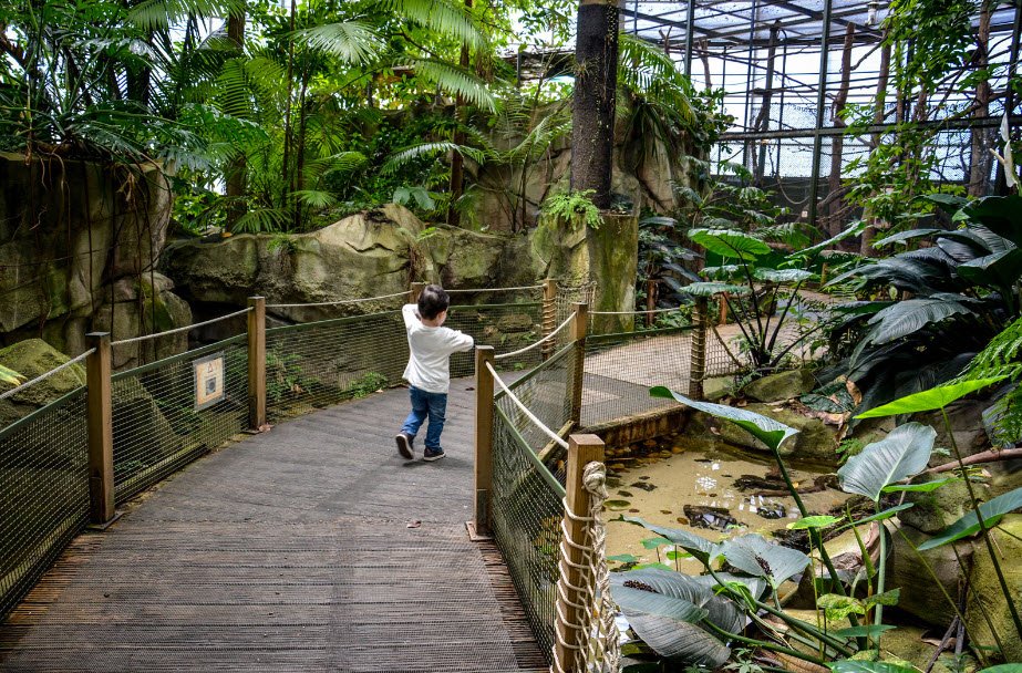 Montpellier Zoological Park , , France